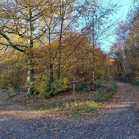 Neuendorf Elegant Nature