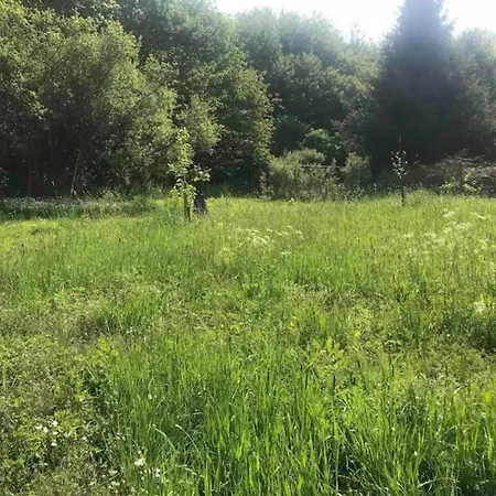 Neuendorf Elegant Nature Holiday home