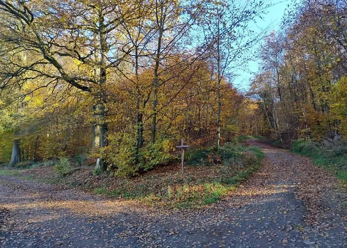 Neuendorf Elegant Nature