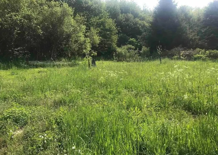 Neuendorf Elegant Nature Dom wakacyjny